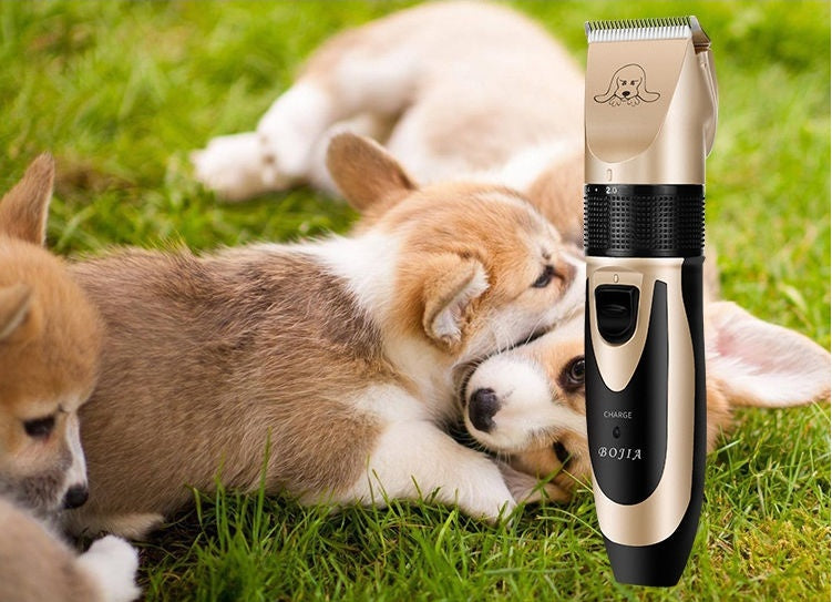Why More Pet Owners Are Choosing Smart Pet Products — And How Zampatech Leads the Way